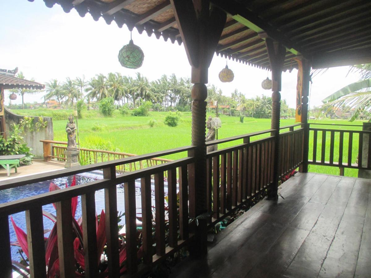 Green Paddy Hostel & Villa Ubud Dış mekan fotoğraf