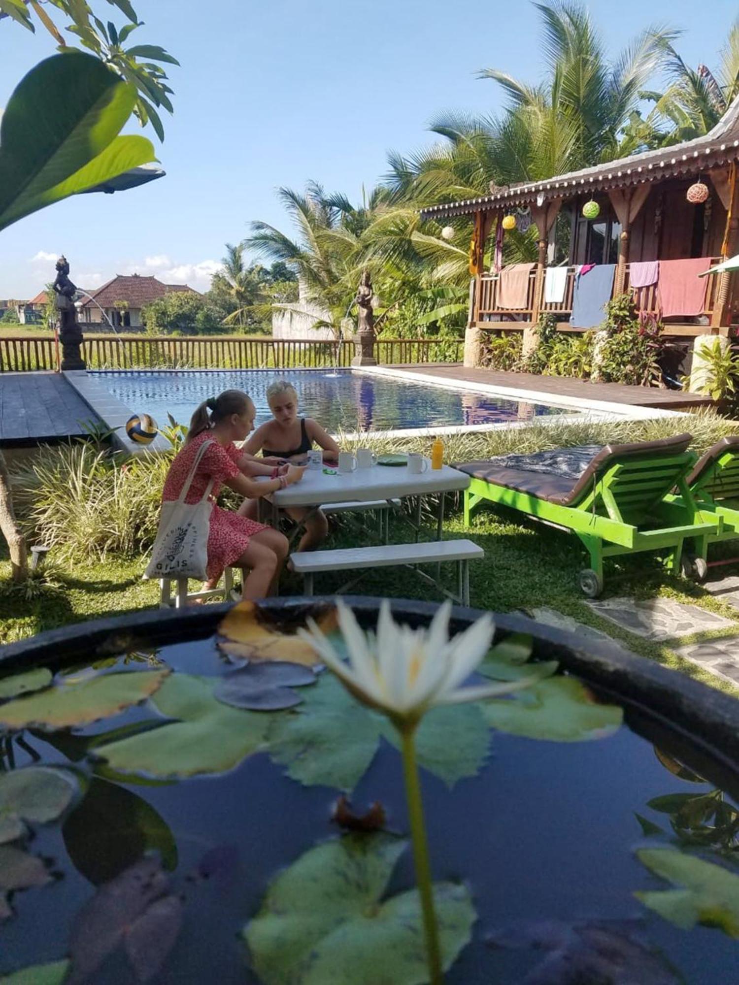 Green Paddy Hostel & Villa Ubud Dış mekan fotoğraf