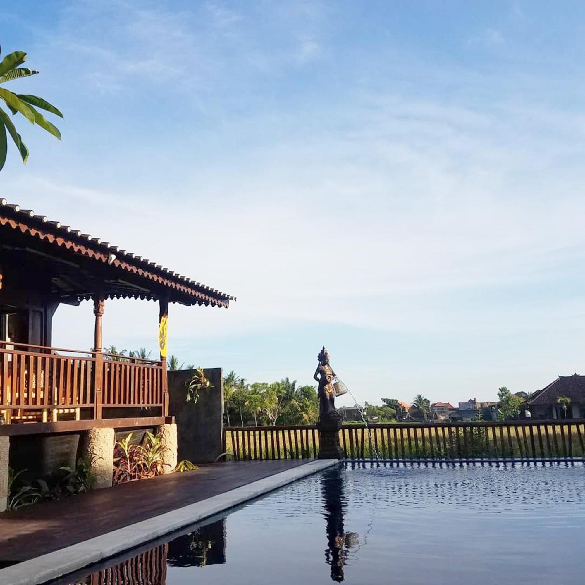 Green Paddy Hostel & Villa Ubud Dış mekan fotoğraf