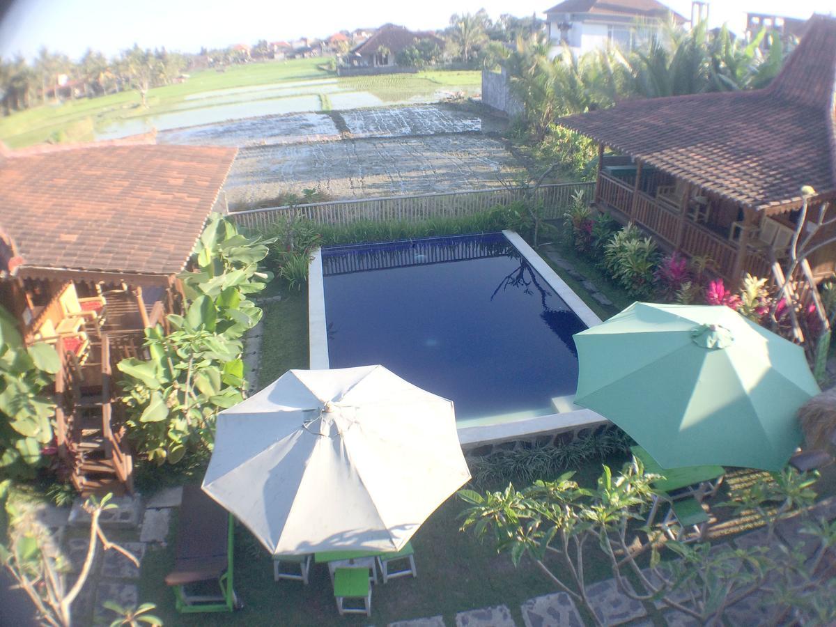 Green Paddy Hostel & Villa Ubud Dış mekan fotoğraf